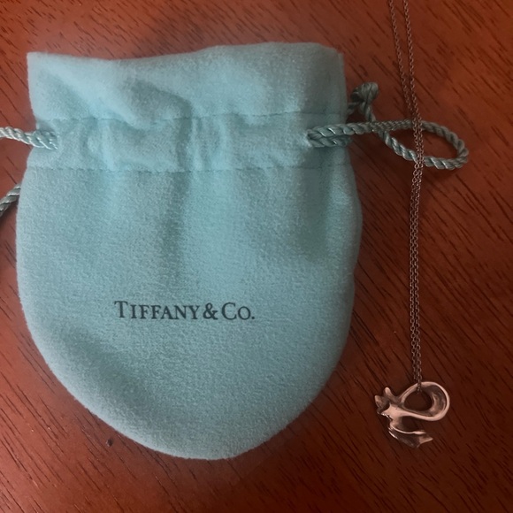 Tiffany & Co. Silvery Necklace by Elsa Peretti - Picture 5 of 9